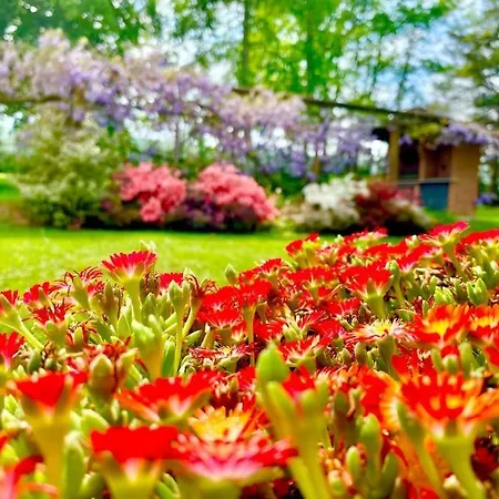 Giulia - Argentera Apartmán