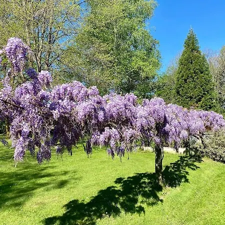 Apartmán Giulia - Argentera Peveragno