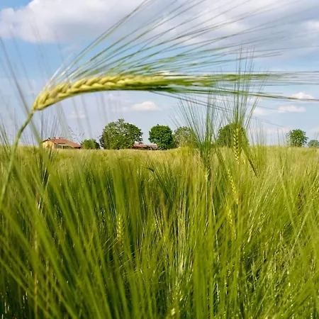 Appartement Giulia - Argentera Peveragno