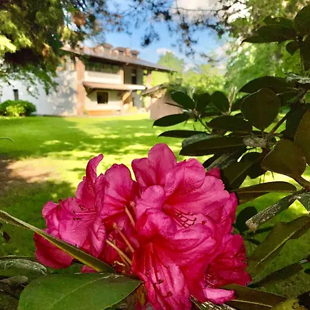 Apartmán Giulia - Argentera