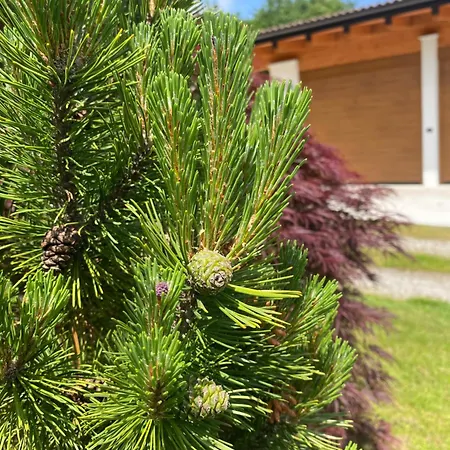 Apartmán Giulia - Argentera *