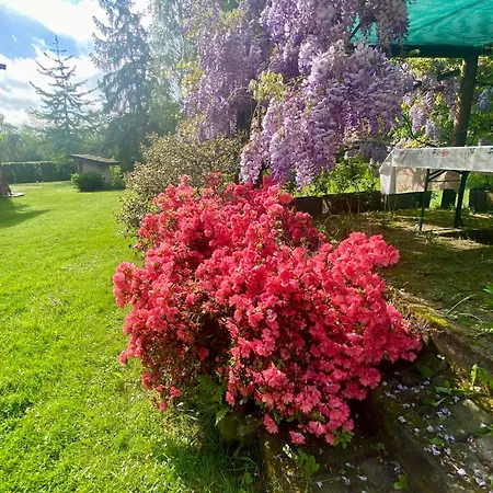 Giulia - Argentera Peveragno